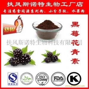黑莓花青素 黑莓提取物花青素 黑莓粉生产