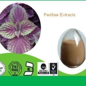 紫苏提取物 种植基地 药食同源