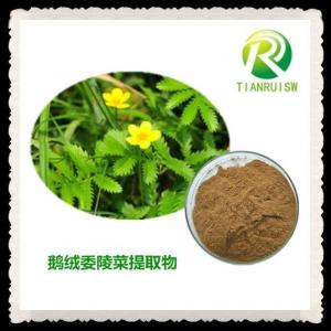 鵝絨委陵菜提取物