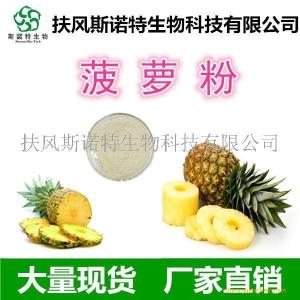 菠萝果粉 99%菠萝粉  水果粉