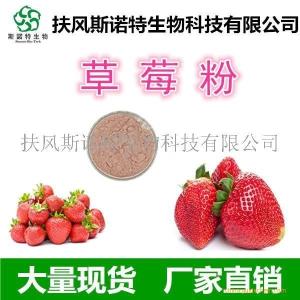 供应草莓粉 *草莓汁粉 草莓榨汁粉