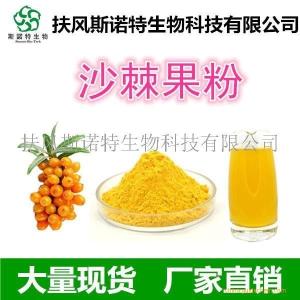 沙棘果粉 沙棘粉 沙棘原浆粉 营养价值好