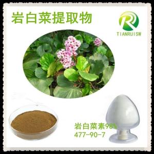 巖白菜提取物 巖白菜素 477-90-7 虎耳草素