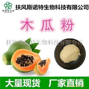 精制木瓜粉 木瓜营养粉
