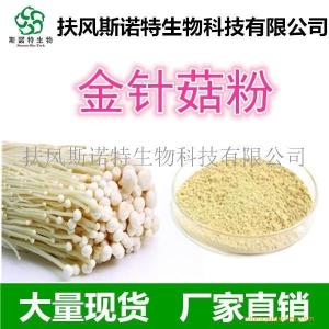 供应金针菇粉 *金针菇粉 金针菇浓缩粉