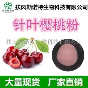 供应针叶樱桃粉 针叶樱桃果粉 针叶樱桃果汁粉