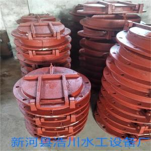 铸铁拍门