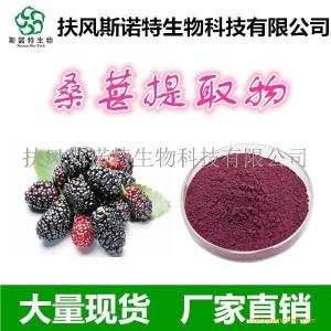桑葚提取物 99%速溶 食品级桑葚浓缩汁粉 生产