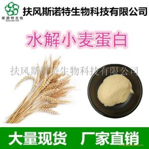 食品级水解小麦蛋白 小麦蛋白肽生产 现货供应