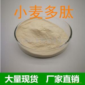 小麦多肽 小麦胚芽肽 小麦肽生产 