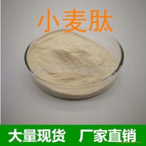 小麦肽 小麦肽粉 小麦蛋白肽粉