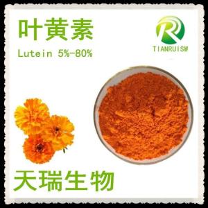 叶黄素5% 生产供应 多种规格万寿菊提取物