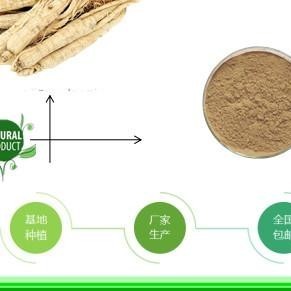 西洋参提取物10:1 水溶西洋参粉 多规格比例浓缩 