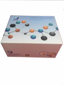 豚鼠免疫球蛋白E(IgE)ELISA试剂盒样本