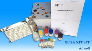 豚鼠降钙素基因相关肽ELISA试剂盒