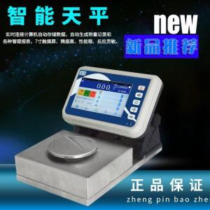 带TCP/IP通讯的天平称 网络传输称重数据的天平秤