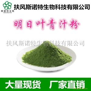 明日叶粉 明日叶汁粉 青汁粉