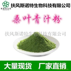 桑叶青汁粉 嫩桑叶粉 青汁粉