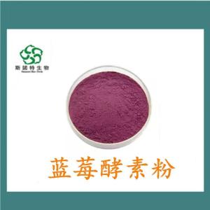 蓝莓酵素粉 食品饮料原料 水溶性好 *供应