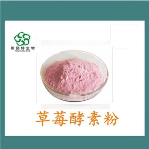 草莓酵素粉 食品级 水溶性好 无沉淀 *供应
