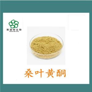 桑叶黄酮40% 桑叶提取 食品级原料 **