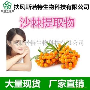 主营：沙棘提取物
