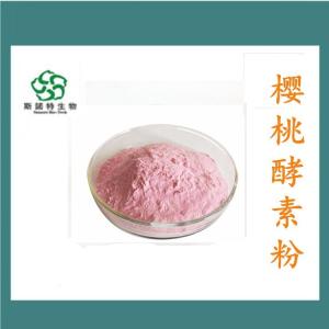樱桃酵素粉 食品级 水溶性粉 无沉淀