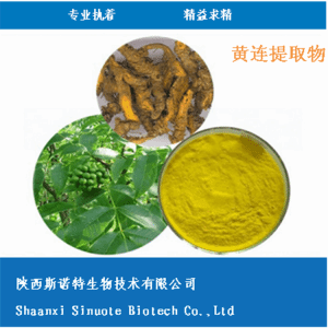 黄连速溶粉 黄连提取物 比例提取 全水溶 可定制