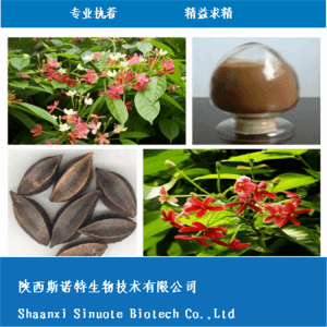 使君子速溶粉 使君子浓缩粉 全水溶 可定制