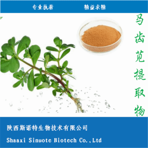 马齿苋速溶粉 马齿苋提取物 药食同源原料 食品级