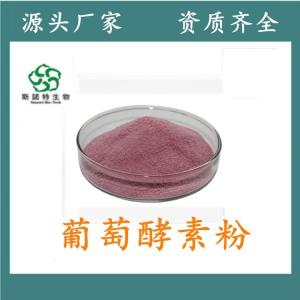 葡萄酵素粉 食品级原料 *供应