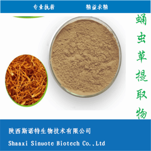 蛹虫草多糖50% 蛹虫草提取物 多种规格 可定制