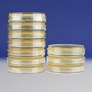 弧菌显色培养基平板    HBPM7011-1    9cm*10个/包