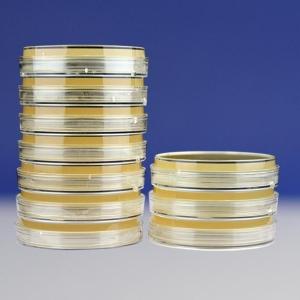 大肠杆菌／大肠菌群显色培养基(平皿)   HBPM7003  	9cm*10个/包