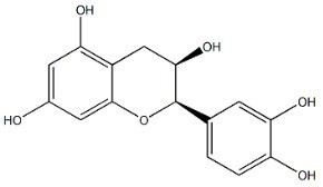 表儿茶素；绿茶提取物；EC