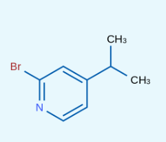 2-溴-4-异 丙 基 吡 啶