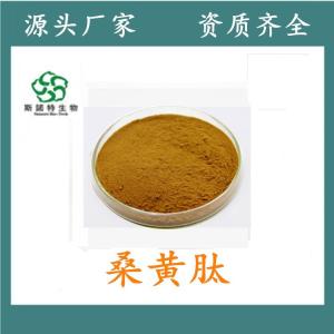 桑黄肽 桑黄小分子肽 食品级原料 *供应
