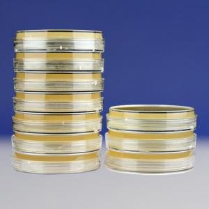 改良CCDA琼脂平板（9cm）Modified CCDA Agar	HBPM0274-1  	10个/包