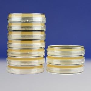 BCYE-CYS琼脂平板（9cm）	BCYE-CYS Agar	HBPM8493-1   10个/包