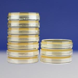 改良Skirrow氏琼脂平板（9cm）Modified Skirrow Agar	HBPM0242  10个/包