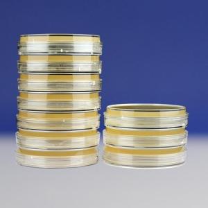 TSA培养基平板（9cm）   TSA       HBPM034-2      10个/包