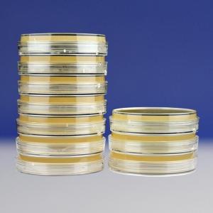 NA平板（加青霉素酶）（9cm）Nutrient Agar    HBPM003-1  10个/包