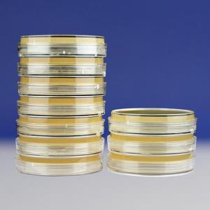我妻氏血琼脂平板（9cm）	HBPM4135       10个/包