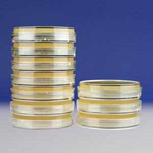 庆大霉素琼脂平板（9cm）  Gentamycin Agar	   HBPM029  	10个/包