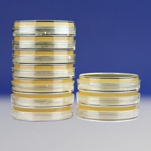 TCBS琼脂平板（9cm）	HBPM027	10个/包
