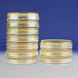 MRS琼脂平板（9cm）MRS Agar	HBPM0384-1	    10个/包