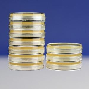 PALCAM琼脂平板（9cm）    PALCAM Agar     HBPM025    10个/包