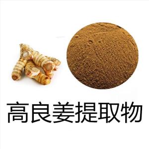 高良姜提取物现货供应高良姜粉