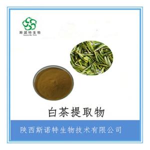 白茶提取物10:1 供应 可定制