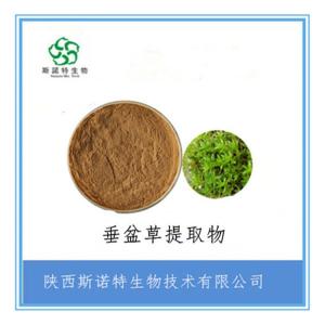 垂盆草提取物 比例提取 全水溶 食品级原料